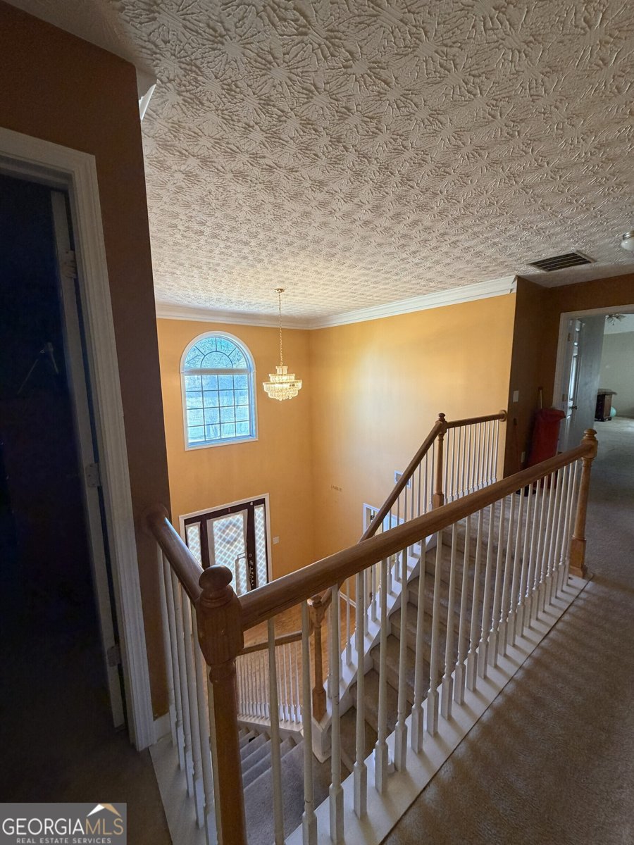 829 Sweden Forest Cove Hampton - 7