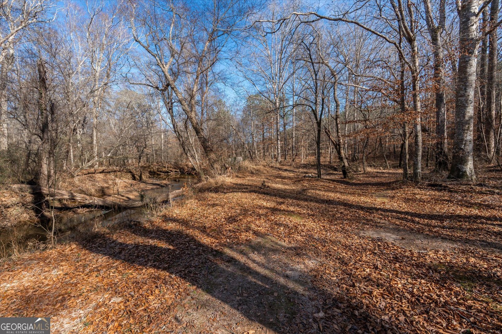 113 Goldin Prop Rd Bremen - 43