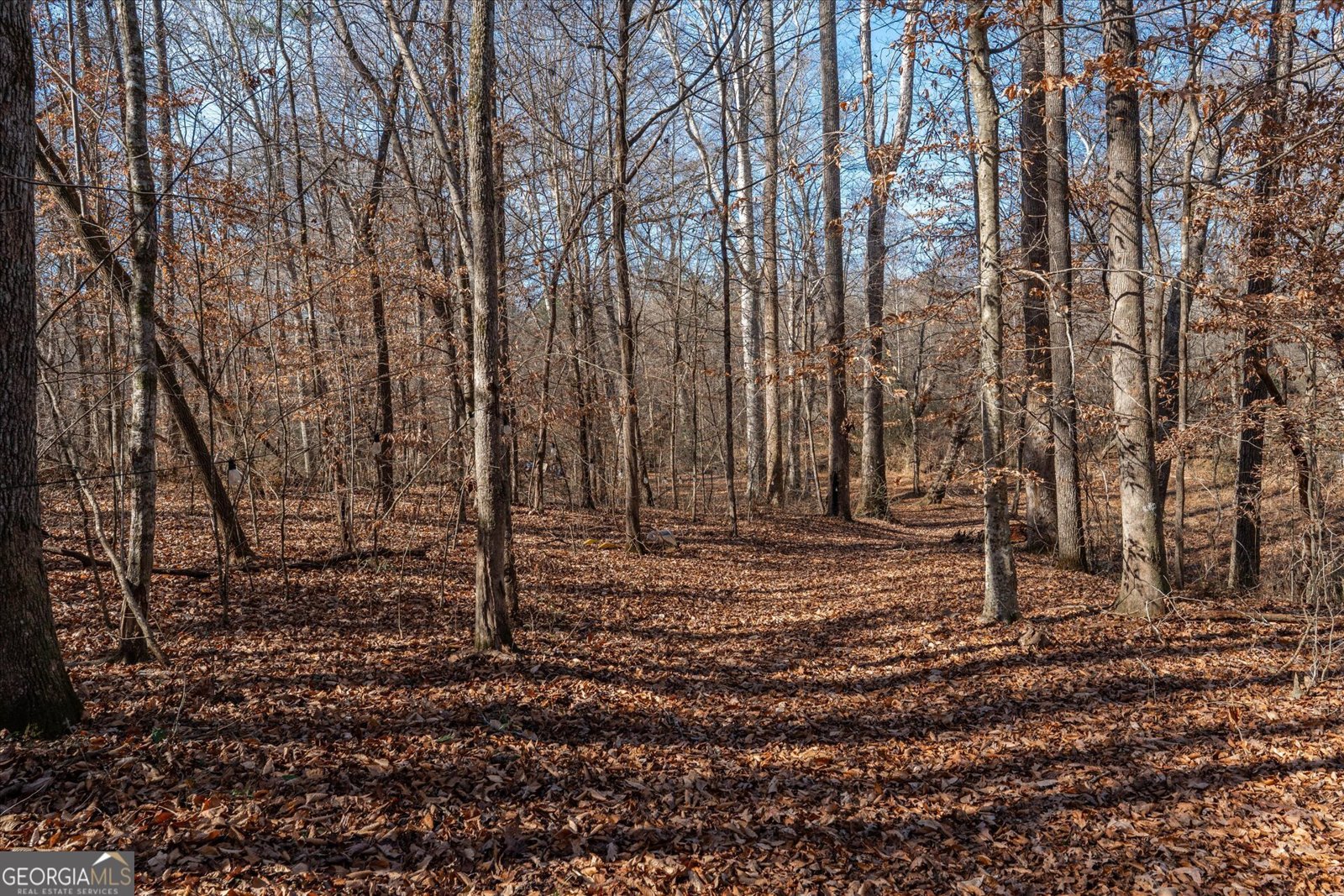 113 Goldin Prop Rd Bremen - 44