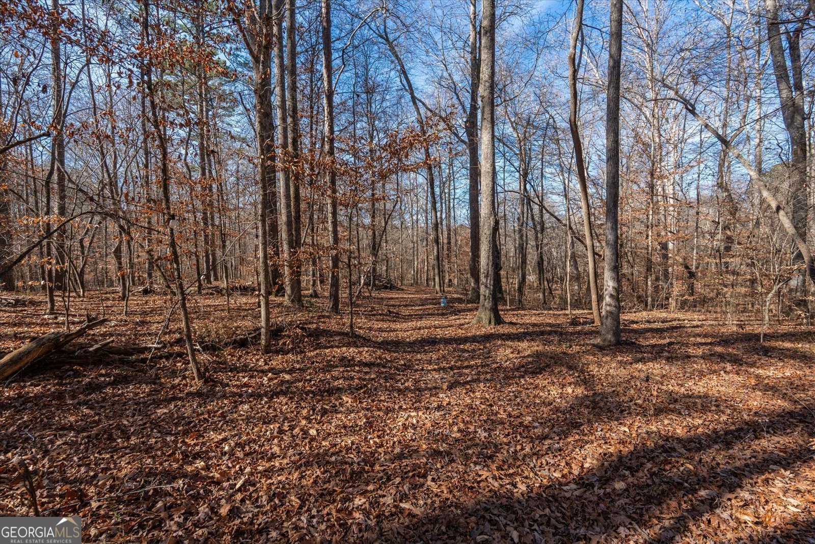 113 Goldin Prop Rd Bremen - 45