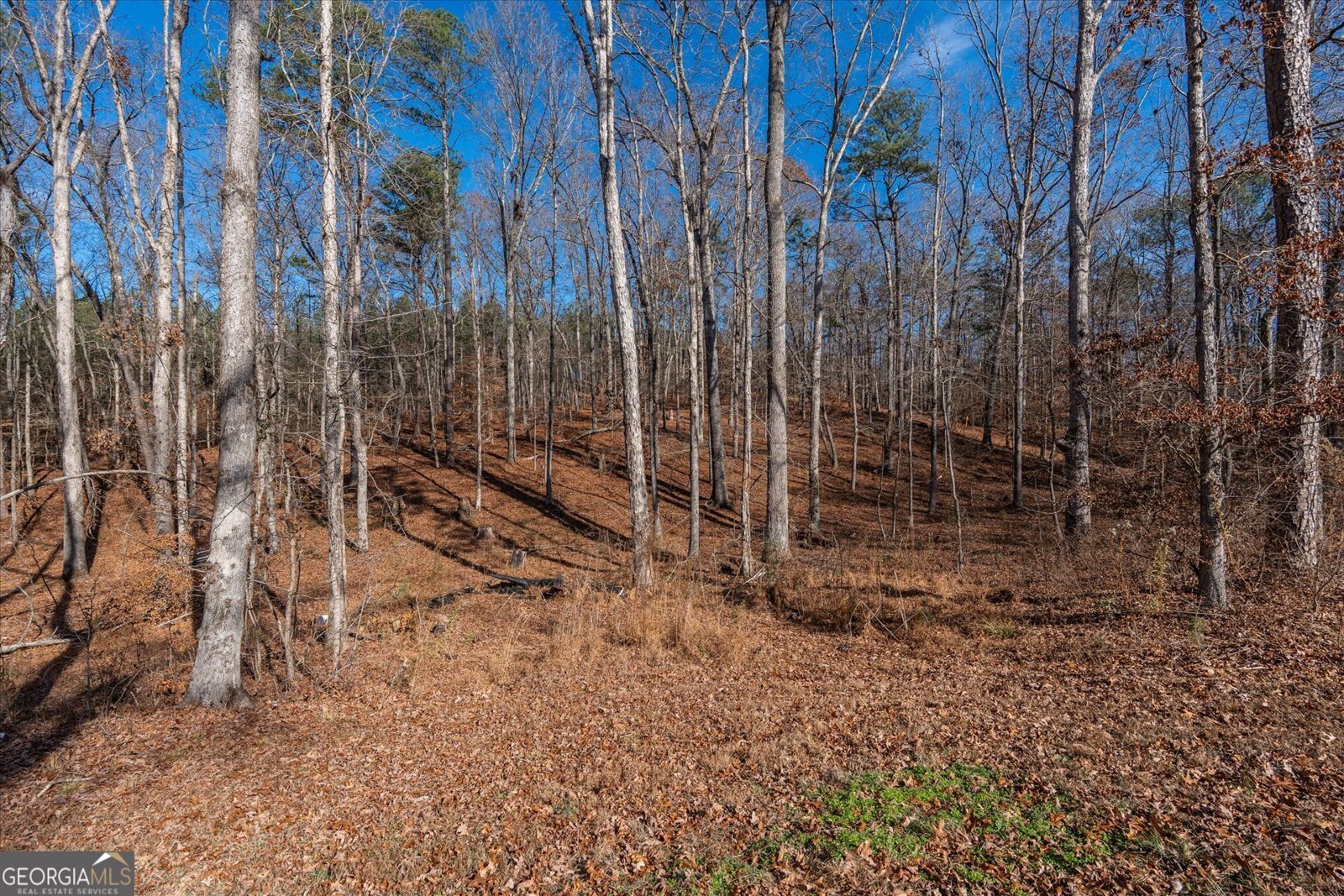 113 Goldin Prop Rd Bremen - 46