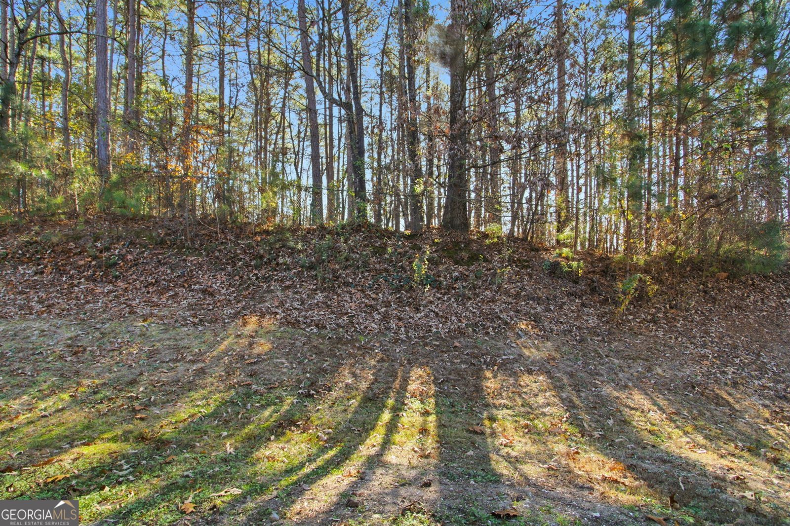 2560 Freemont Street Snellville - 35