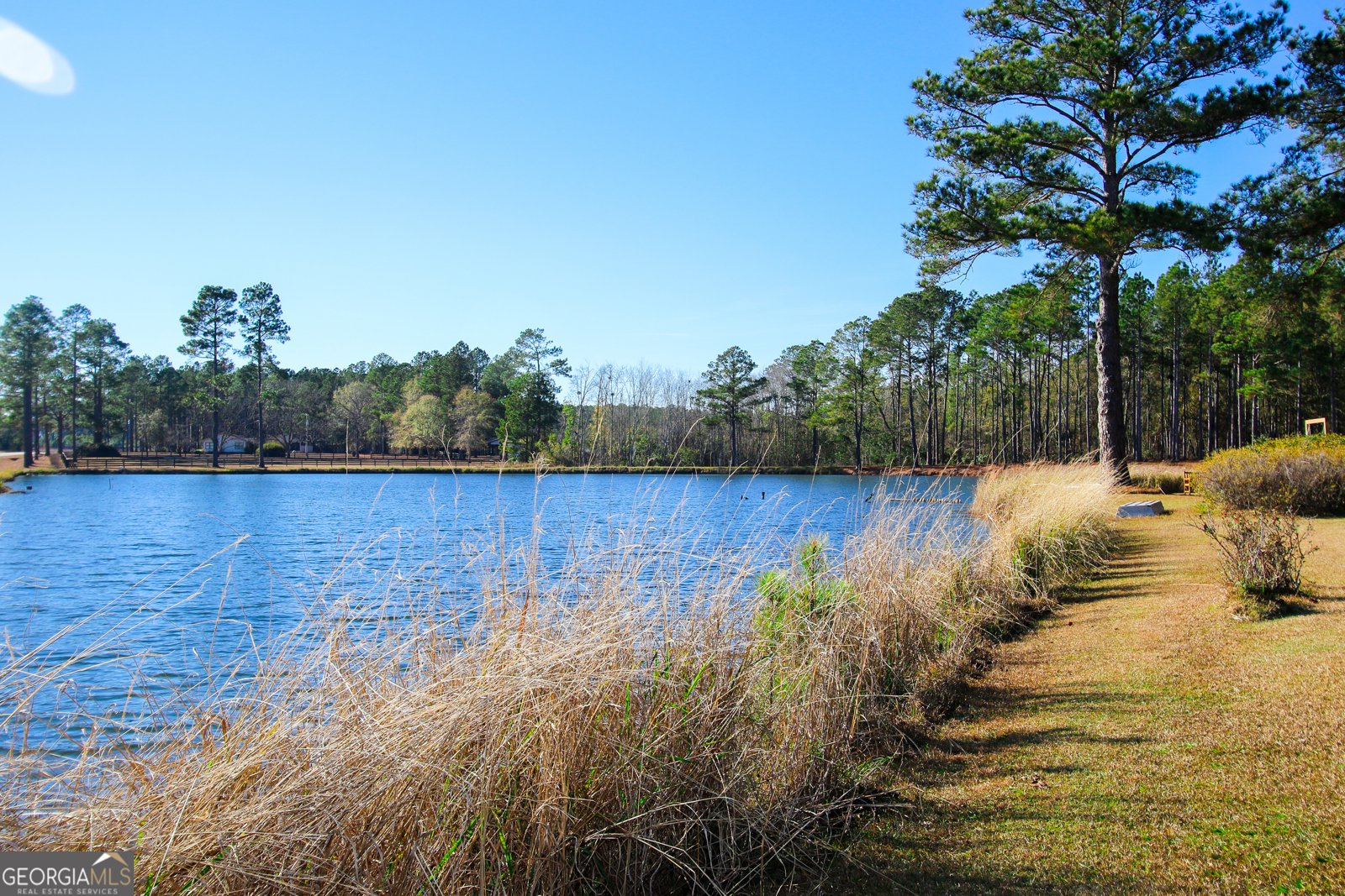 813 Evergreen Road Cobbtown - 7