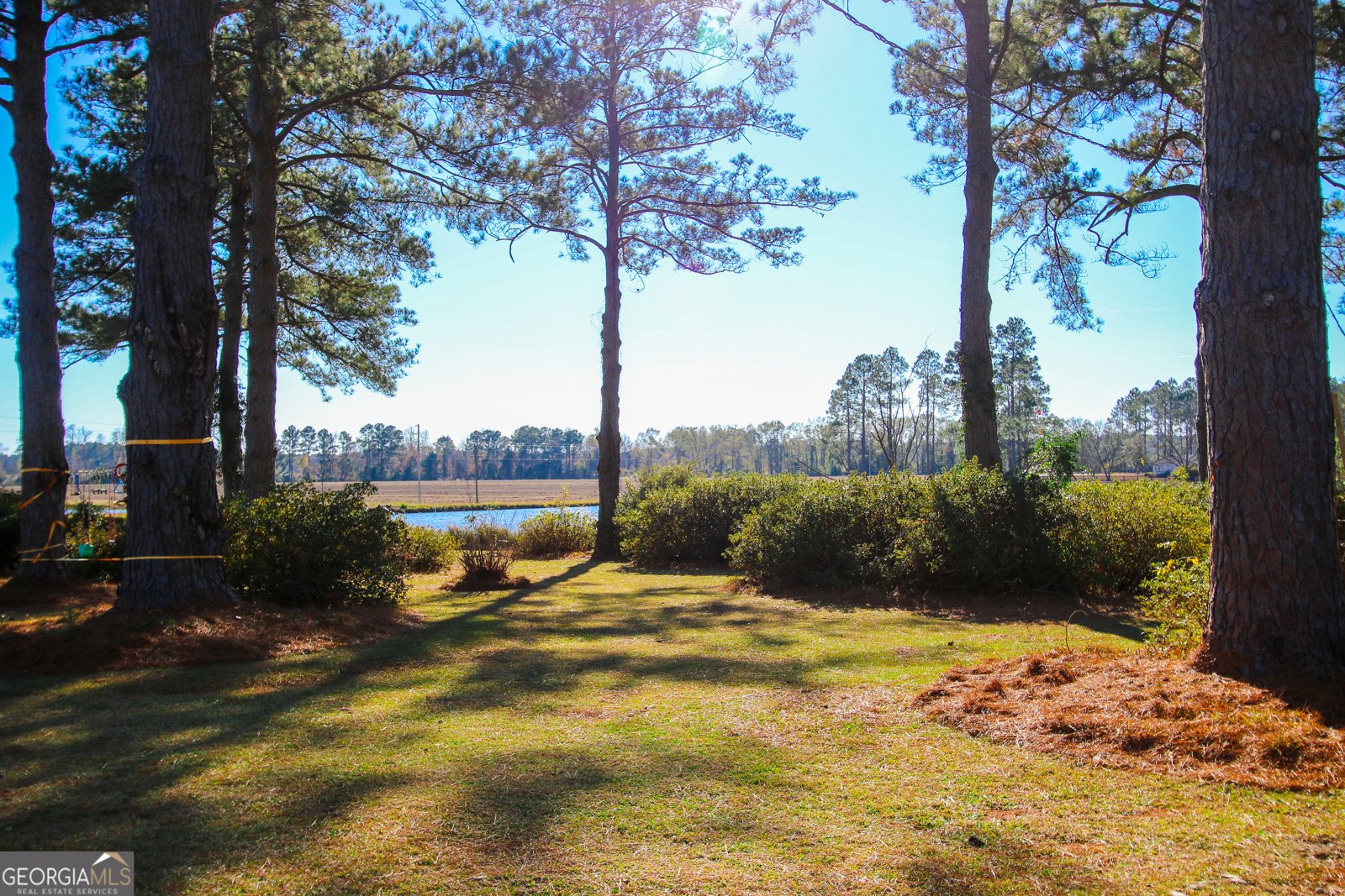 813 Evergreen Road Cobbtown - 8