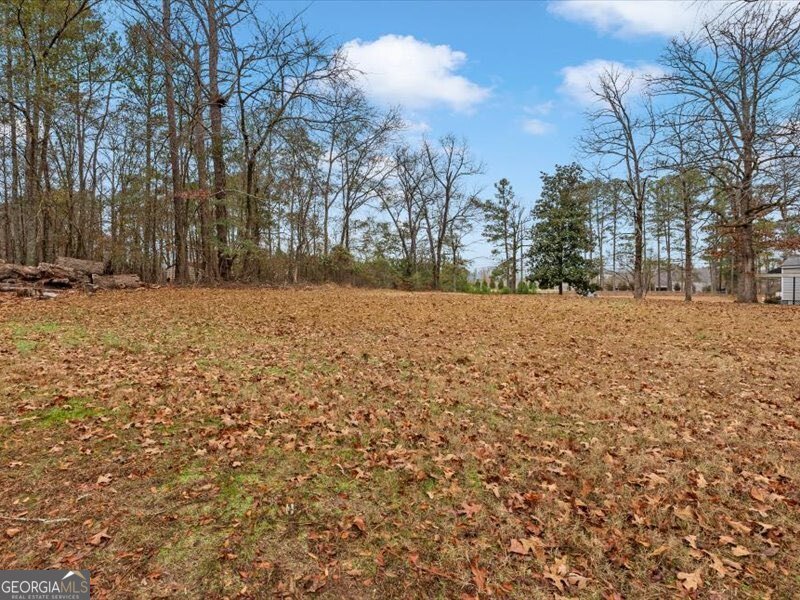 4624 Macland Road Hiram - 52