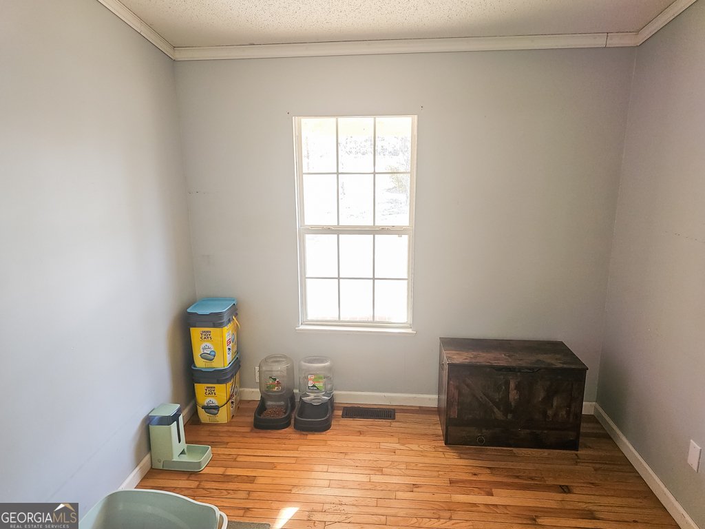 831 GA Highway 90 Rupert - 17