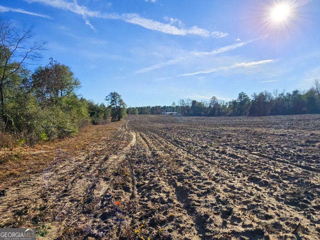 831 GA Highway 90 Rupert - 23