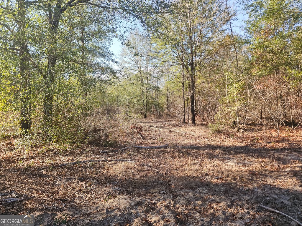 831 GA Highway 90 Rupert - 24