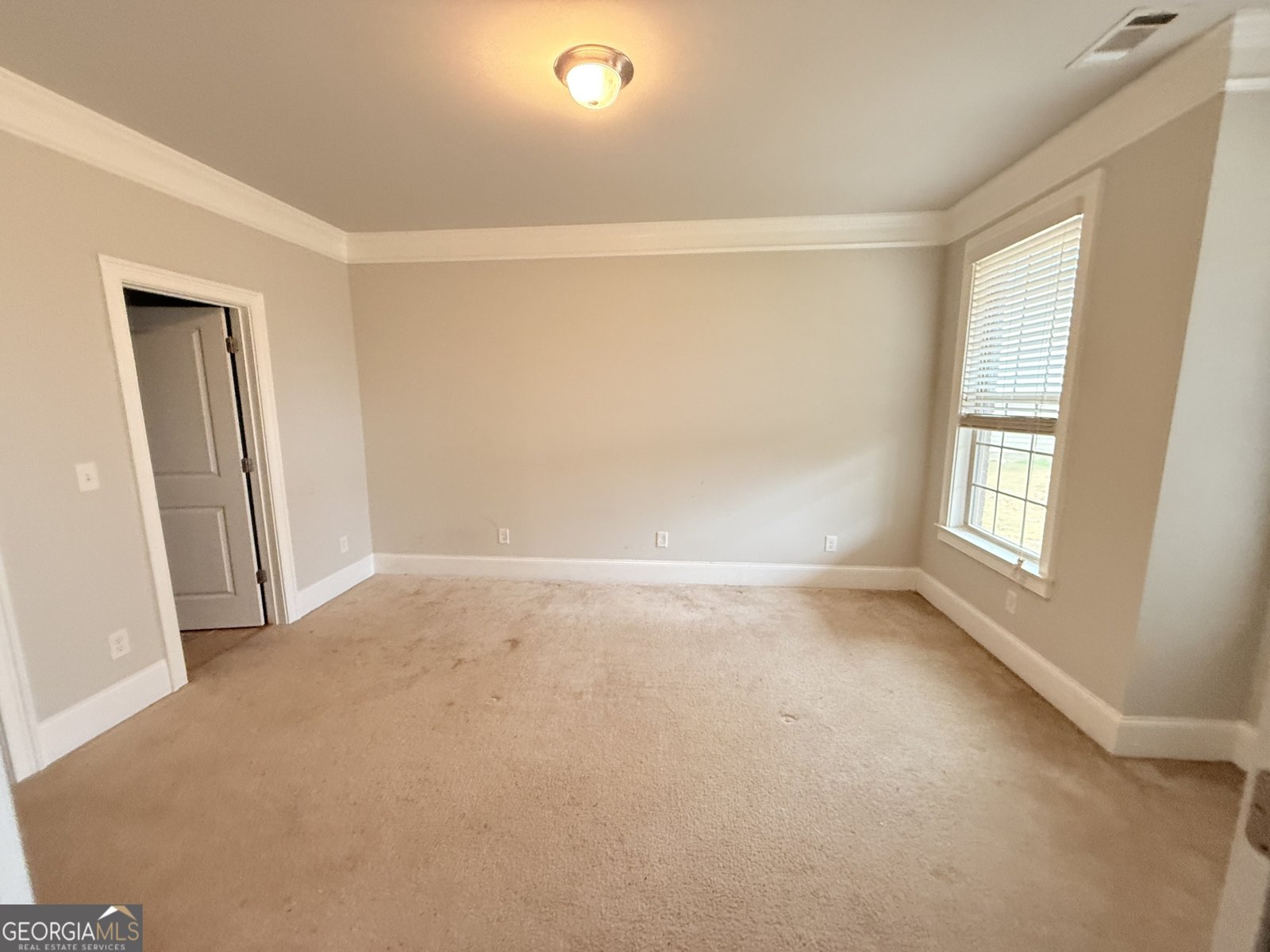 133 Gambier Cove McDonough - 10