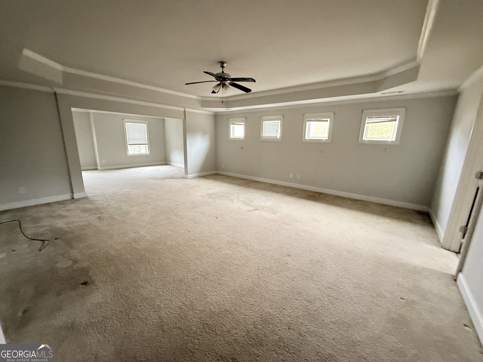 133 Gambier Cove McDonough - 8