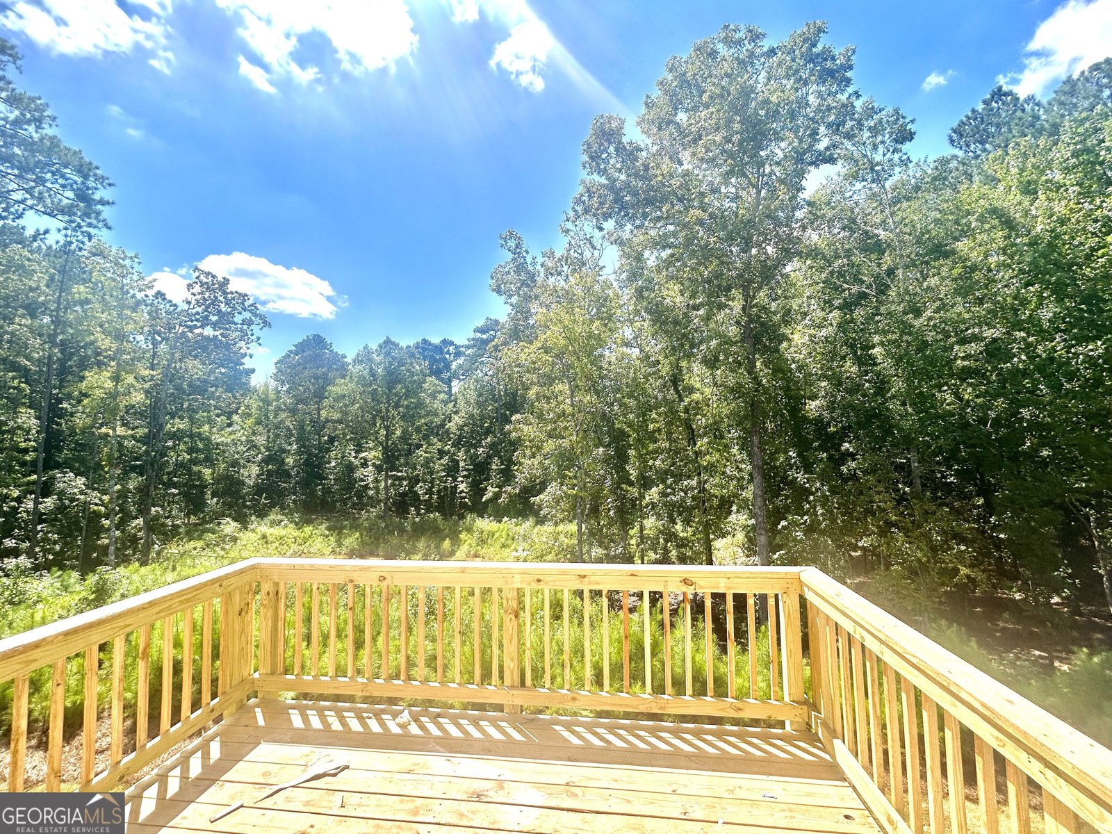 7204 Eton Lane Locust Grove - 16