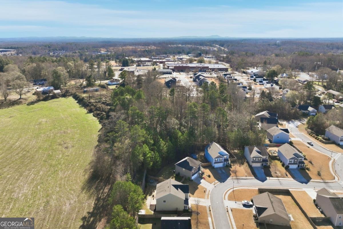 173 Rainhill Station Drive Dawsonville - 41