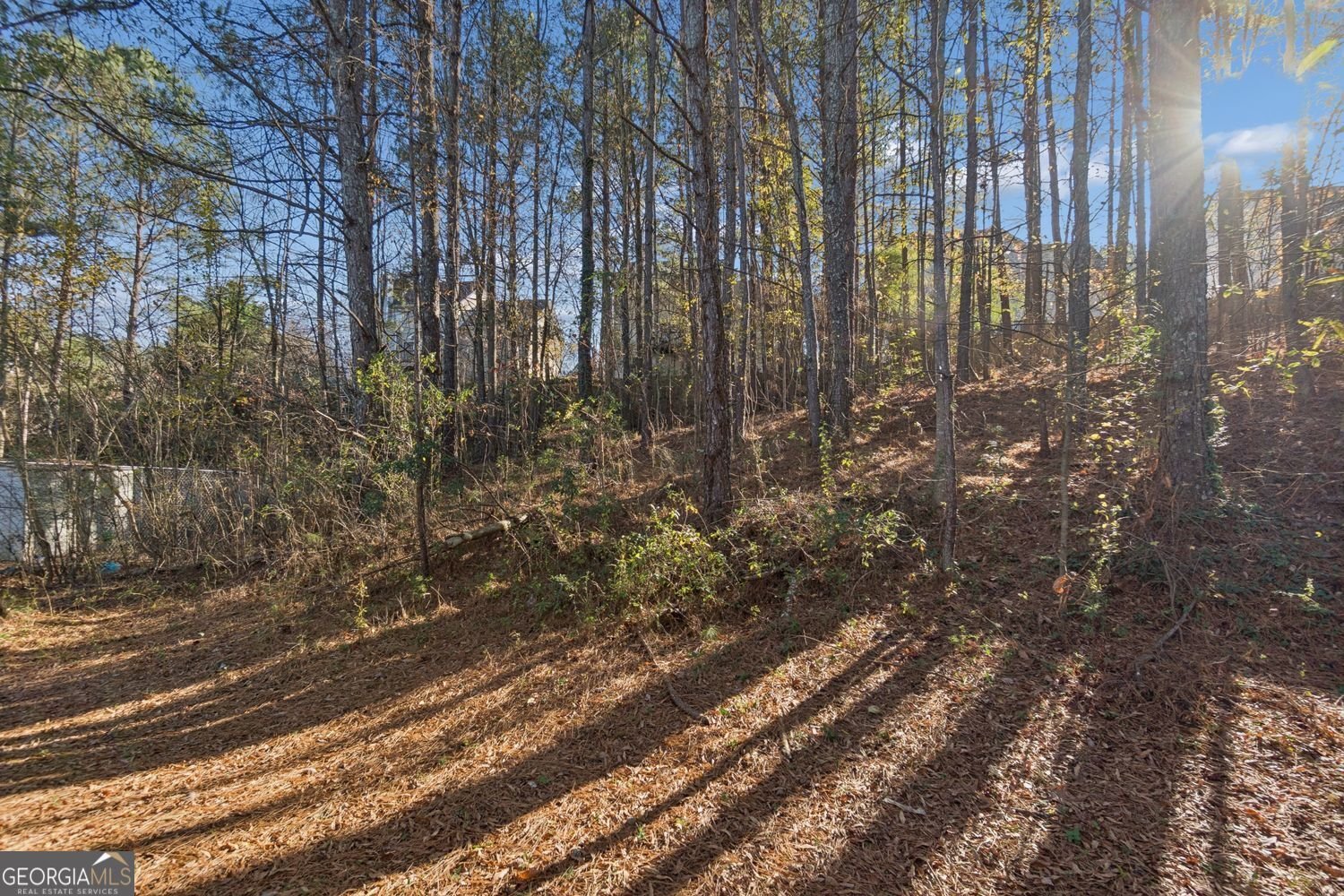 3875 Waldrop Hills Drive Decatur - 17