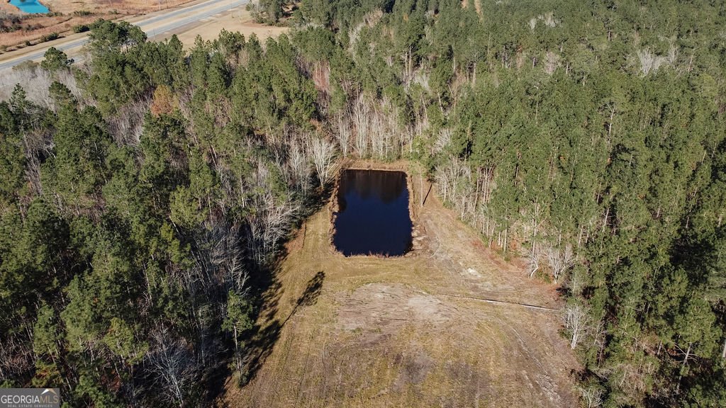 321 Mae Lane Baxley - 3