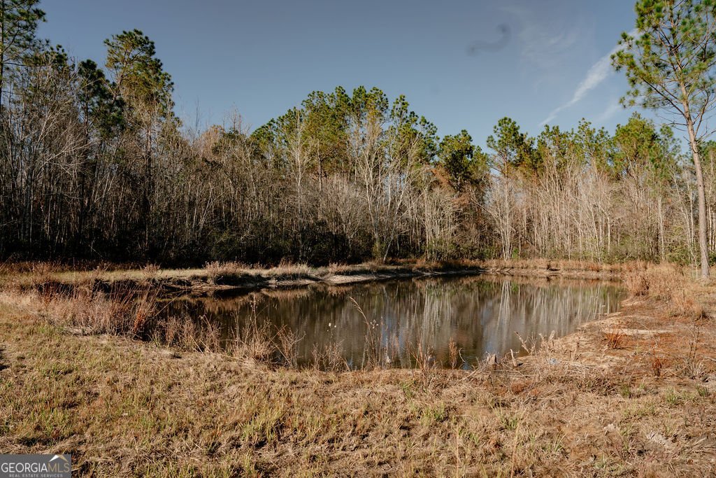 321 Mae Lane Baxley - 6