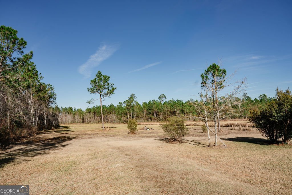 321 Mae Lane Baxley - 8