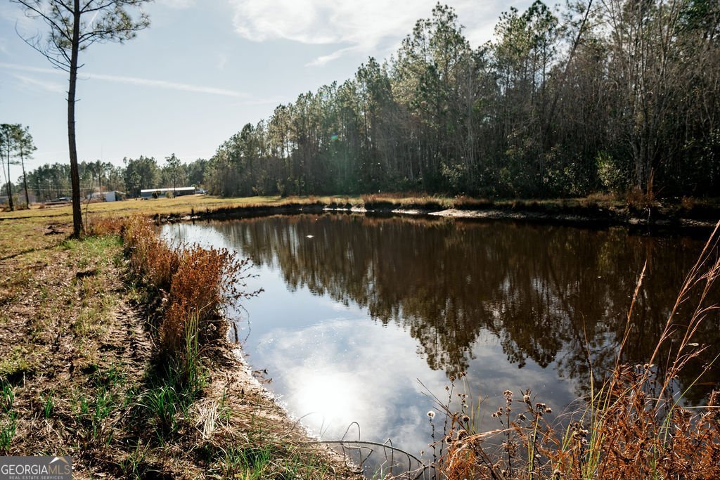 321 Mae Lane Baxley - 9