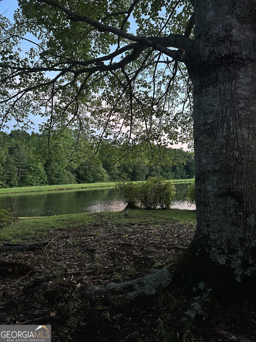 2145 Hampton Trail Conyers - 11