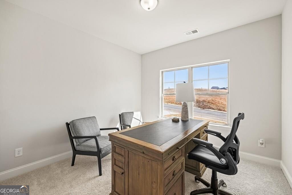 164 Greenview Court Homer - 37