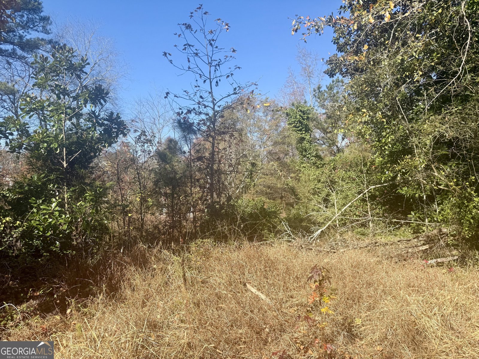 4660 Atlanta Highway Alpharetta - 2