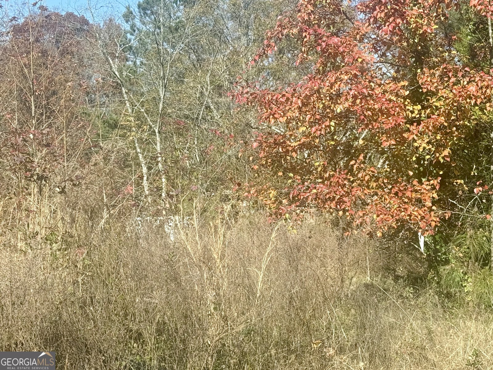 4660 Atlanta Highway Alpharetta - 3