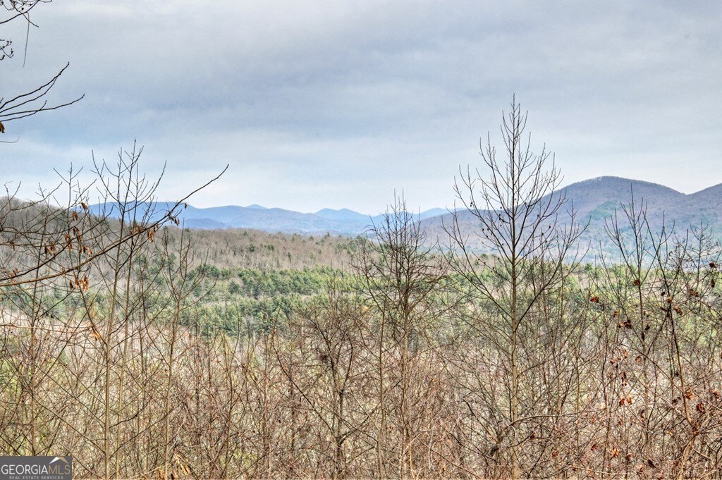 260 Observation Lane Blue Ridge - 22