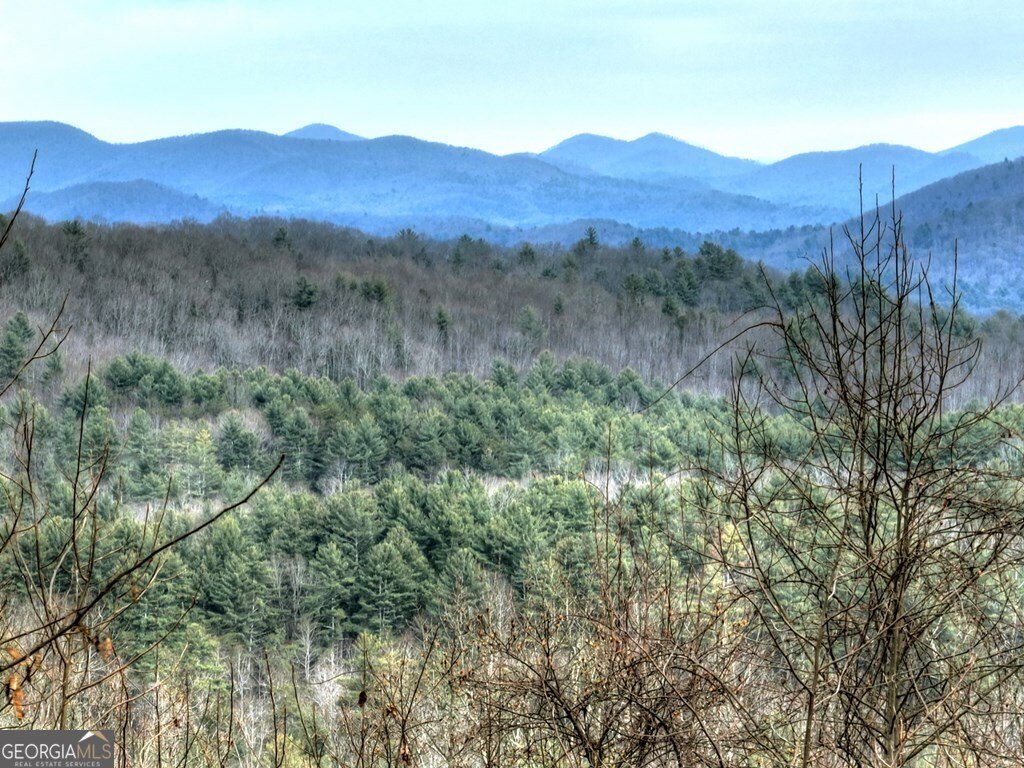 260 Observation Lane Blue Ridge - 3