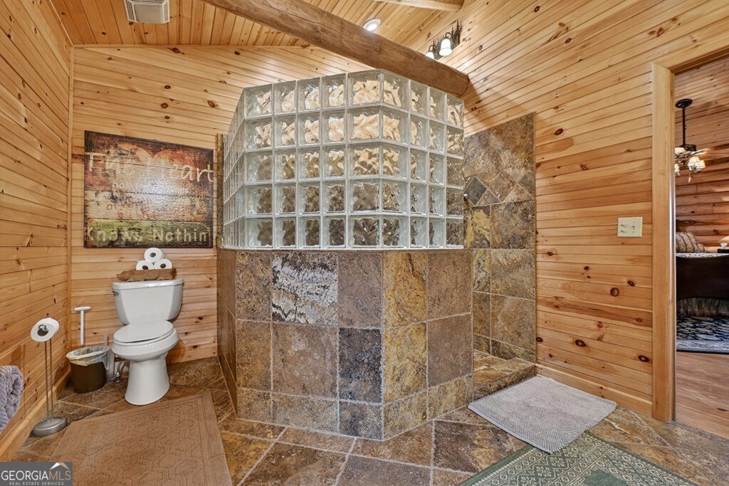 260 Observation Lane Blue Ridge - 46