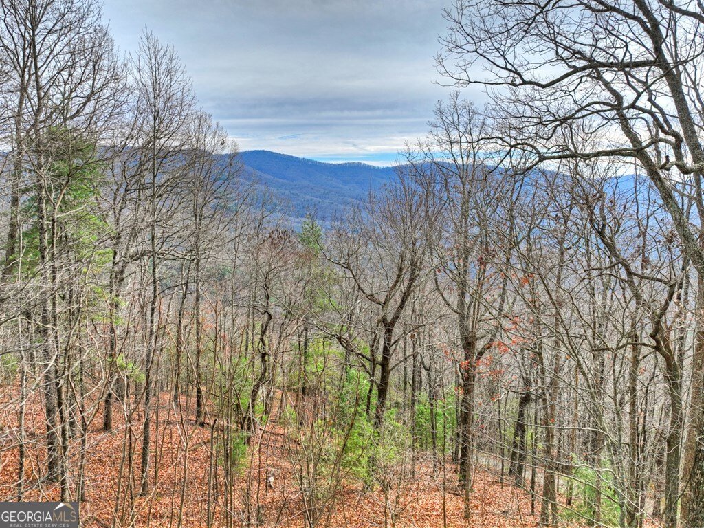 260 Observation Lane Blue Ridge - 6