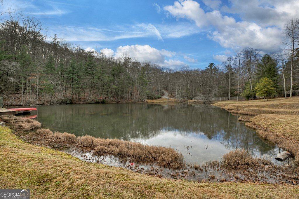 260 Observation Lane Blue Ridge - 66