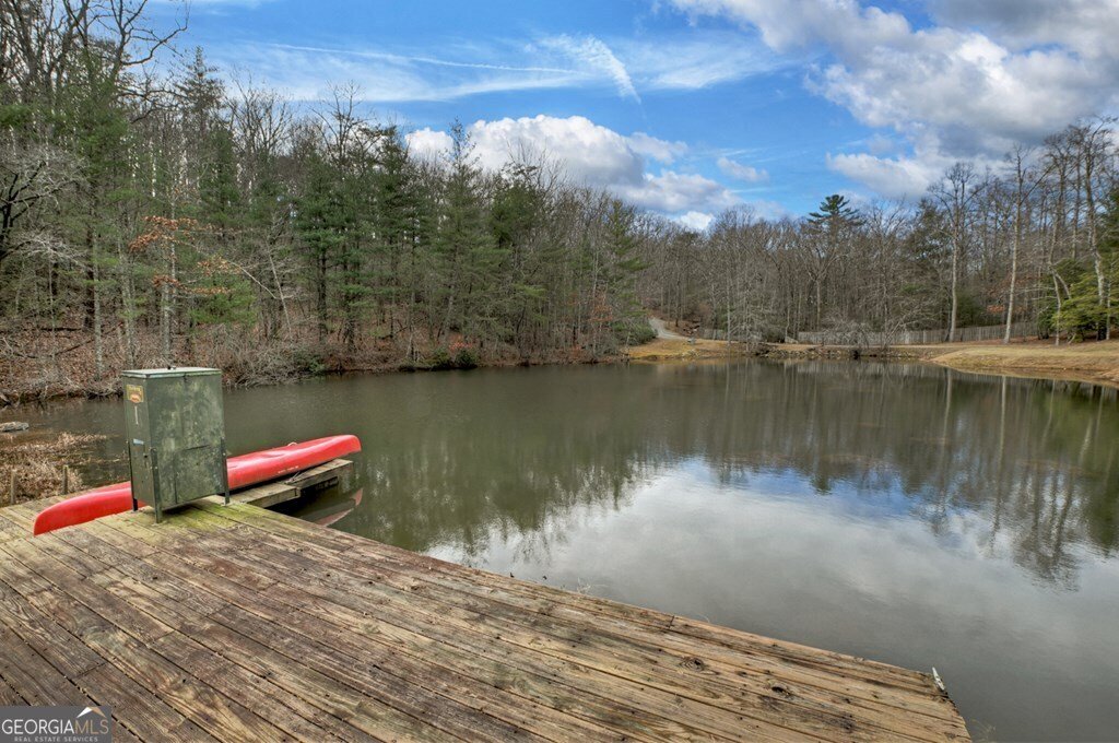 260 Observation Lane Blue Ridge - 68