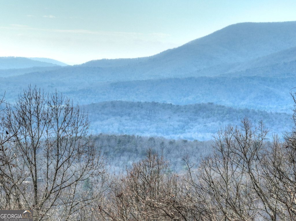 260 Observation Lane Blue Ridge - 7