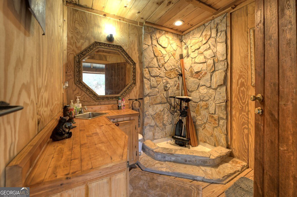 260 Observation Lane Blue Ridge - 70