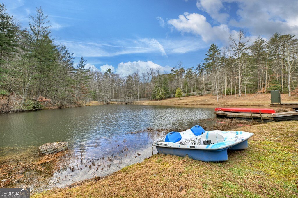 260 Observation Lane Blue Ridge - 73