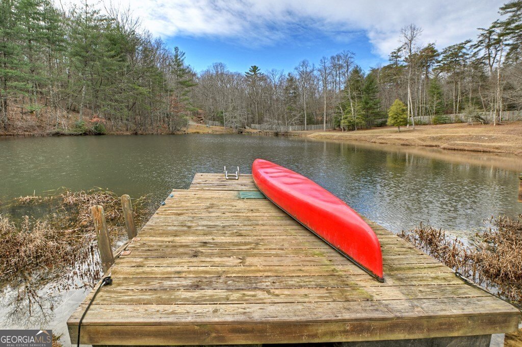 260 Observation Lane Blue Ridge - 74