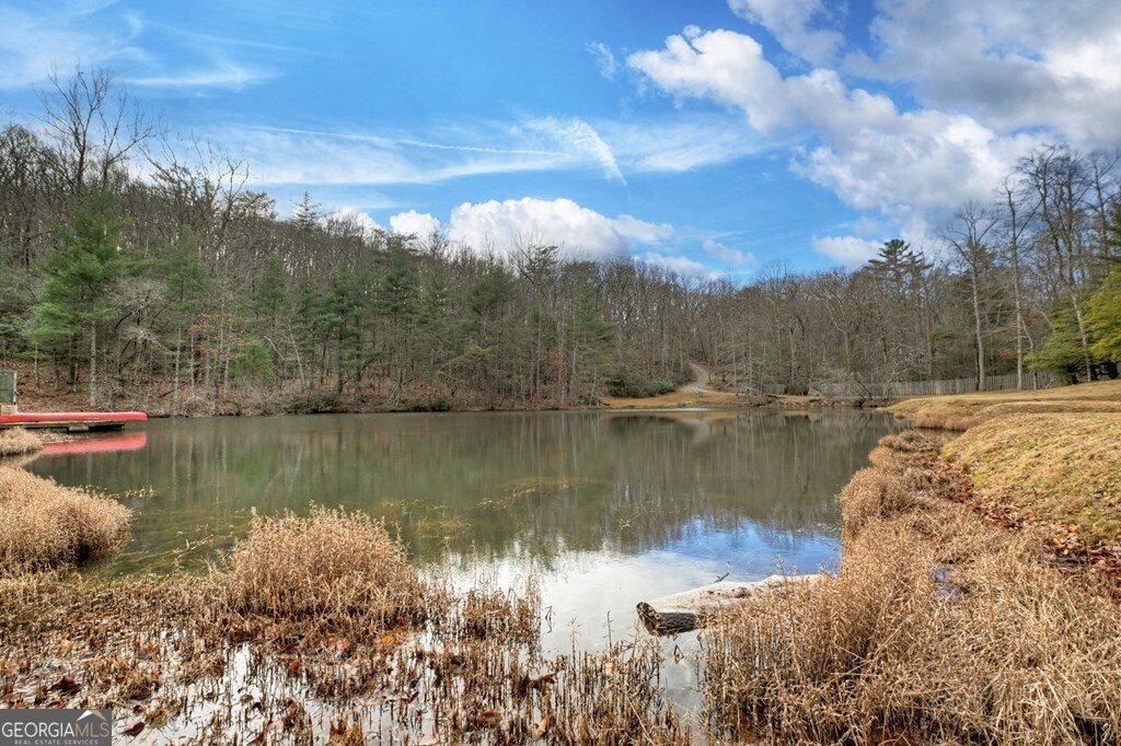 260 Observation Lane Blue Ridge - 75