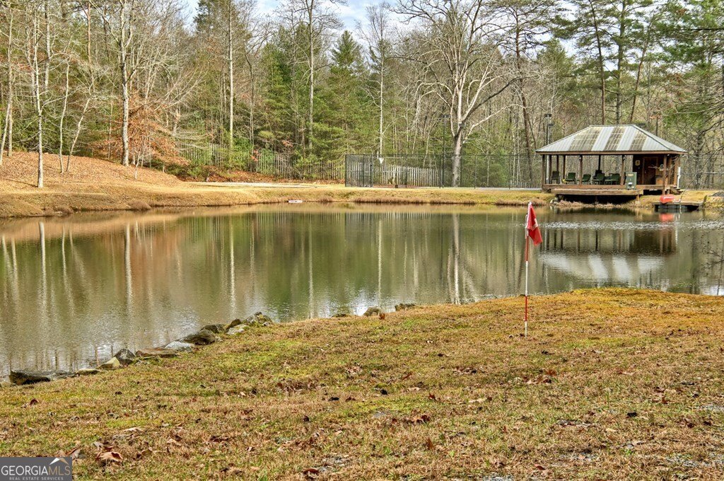 260 Observation Lane Blue Ridge - 78