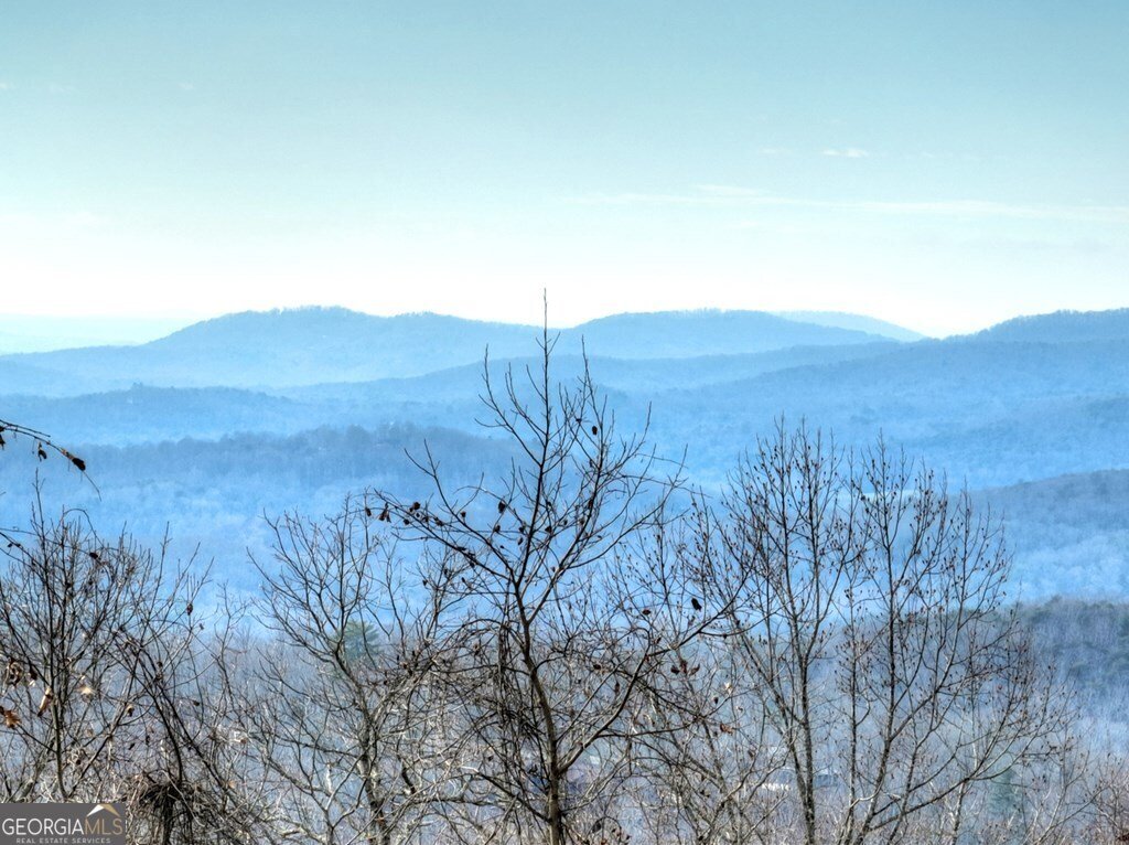 260 Observation Lane Blue Ridge - 8