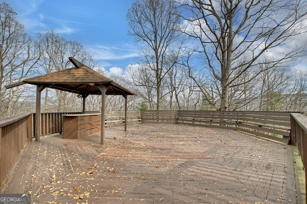 260 Observation Lane Blue Ridge - 81