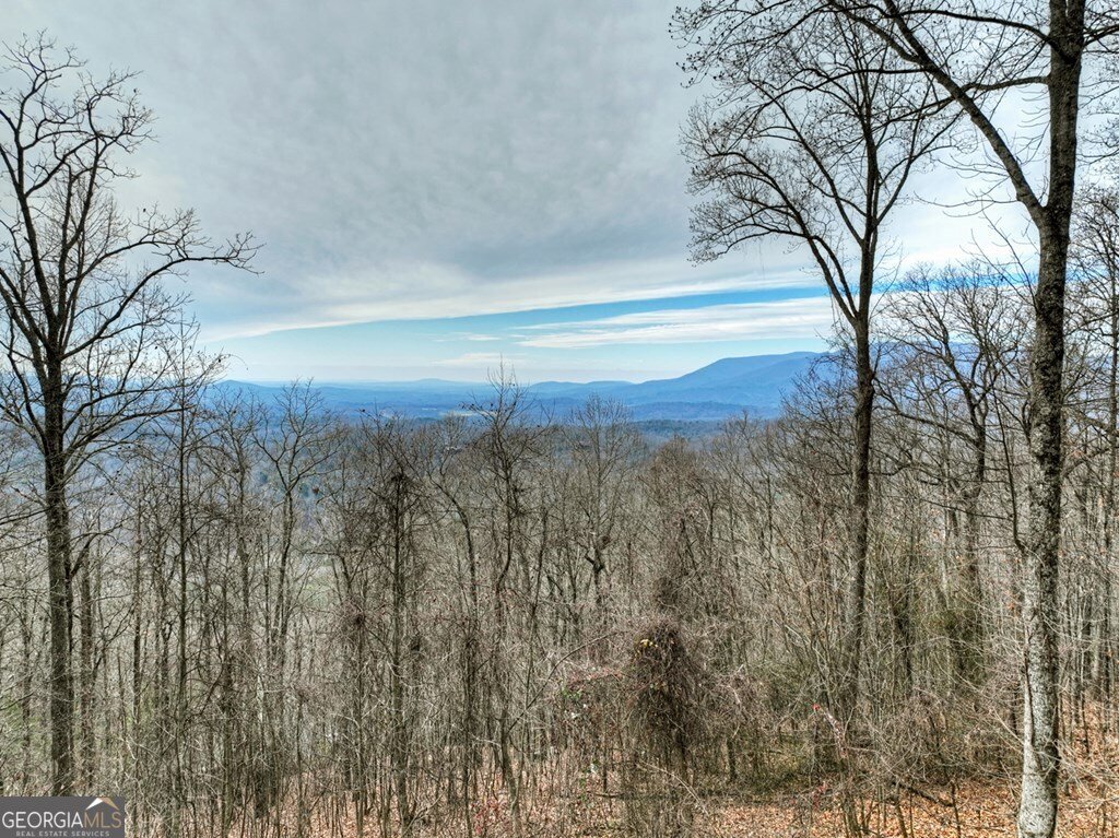 260 Observation Lane Blue Ridge - 84