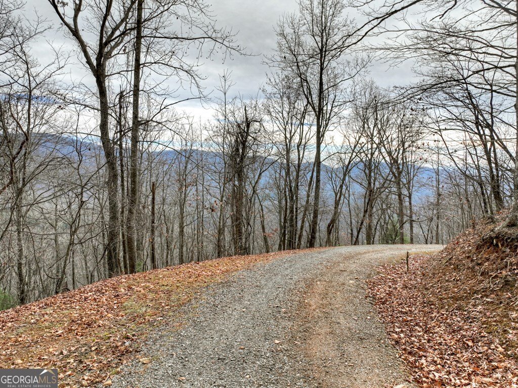 260 Observation Lane Blue Ridge - 86