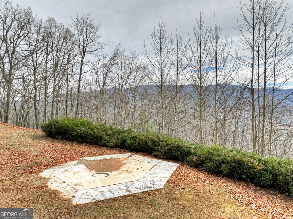 260 Observation Lane Blue Ridge - 87