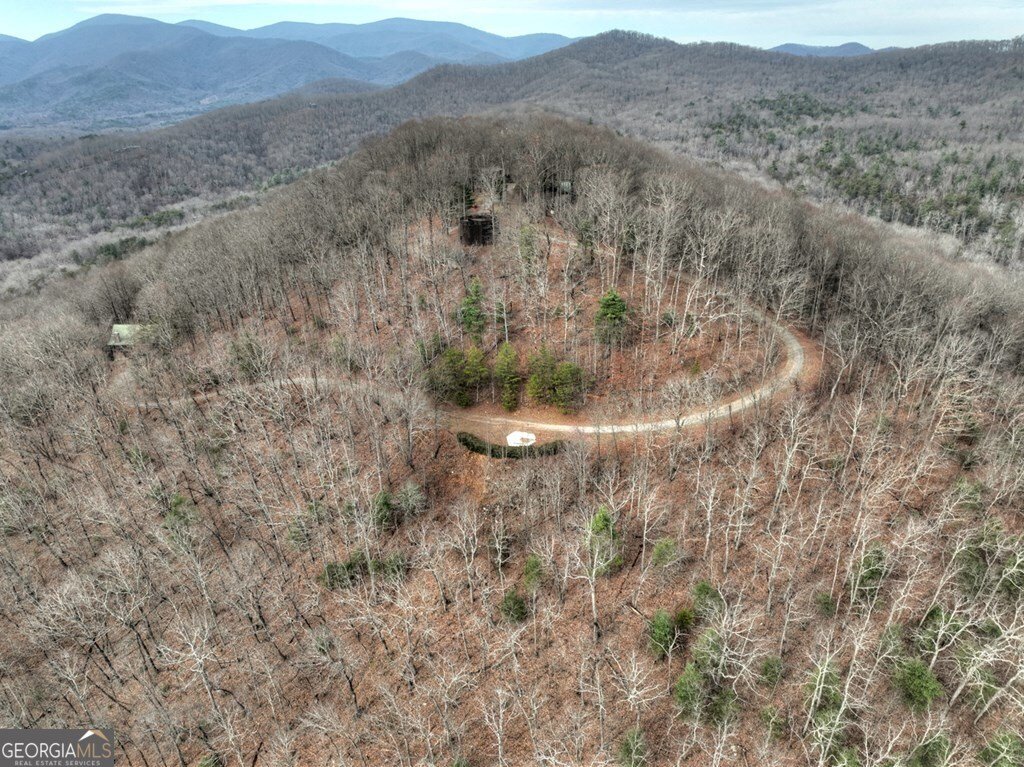 260 Observation Lane Blue Ridge - 88