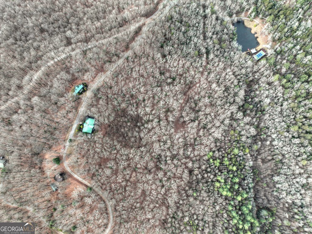 260 Observation Lane Blue Ridge - 89