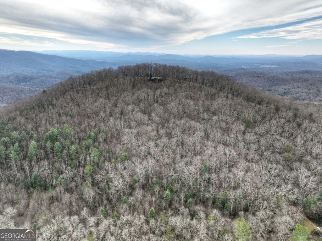 260 Observation Lane Blue Ridge - 93