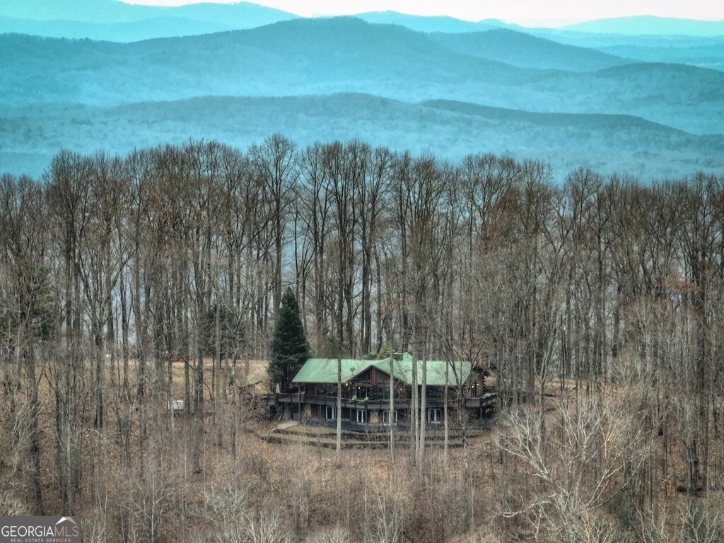 260 Observation Lane Blue Ridge - 94