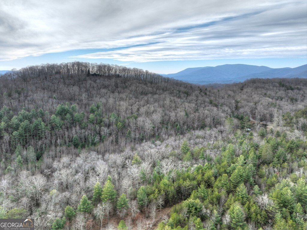 260 Observation Lane Blue Ridge - 95