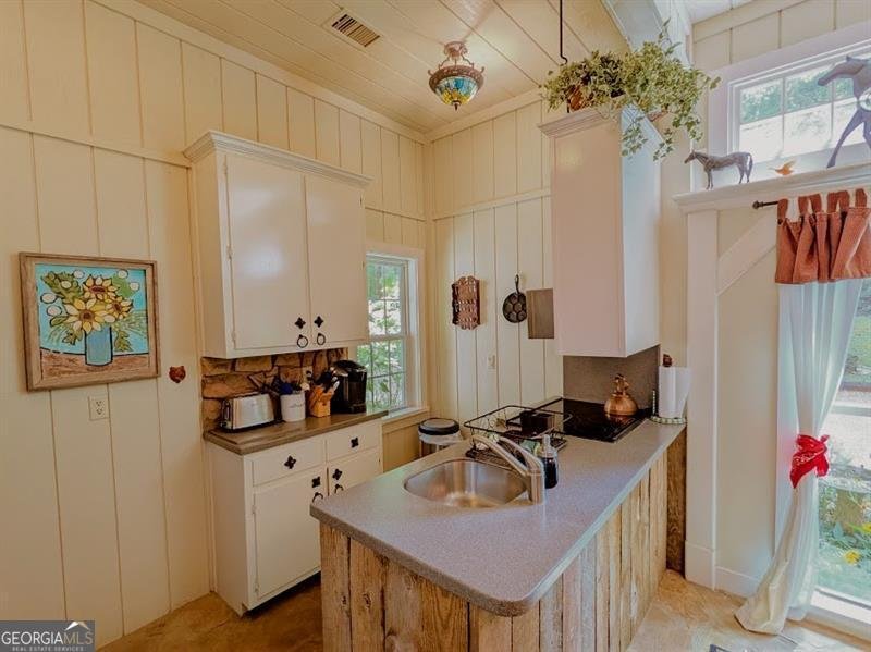 805 Old Mill Court Ball Ground - 120