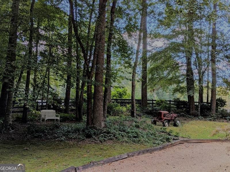 805 Old Mill Court Ball Ground - 136