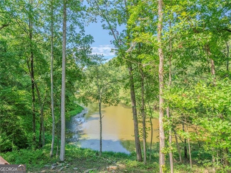 805 Old Mill Court Ball Ground - 3